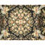 Hand Knotted Wool Area Rug in Black