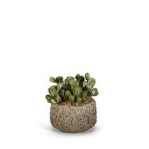 Norwood 9'' Faux Moss Plant in Fiberstone Pot