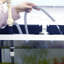 Ensemble de nettoyeur de gravier d'aquarium électrique