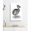 Dodo in Black & White by George Shaw - Wrapped Canvas Drawing - Wrapped Canvas-55342795