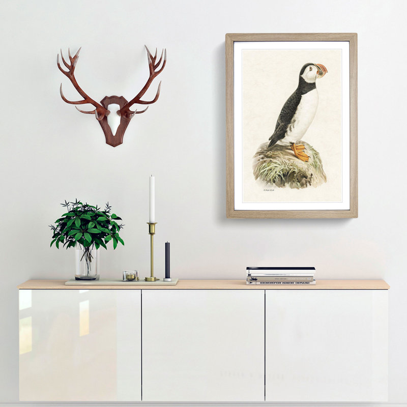 Atlantic Puffin by Von Wright - Framed Print, 45cm H x 33cm W x 2cm D, Oak Framed