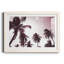 Palm Sunshine - reproduction de photo sur papier encadrée-1205386457-1205386463