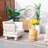 Shenia 3-Piece Outdoor Upholstered Coversation Set