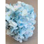 BOUQUET D'HORTENDAÏS X3 PIÈCES-1882573829-1882573830