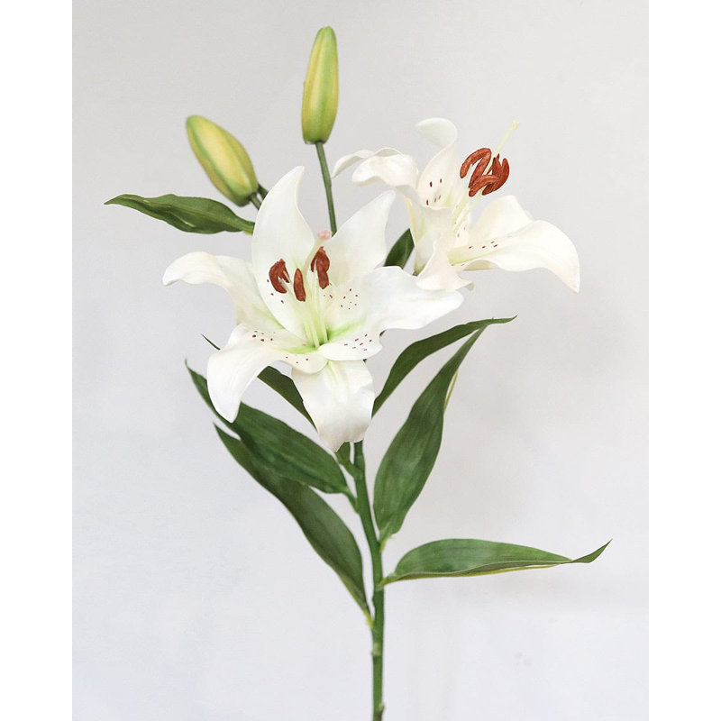 Lys Stargazer blanc 29 po, White, 29" H x 8" W