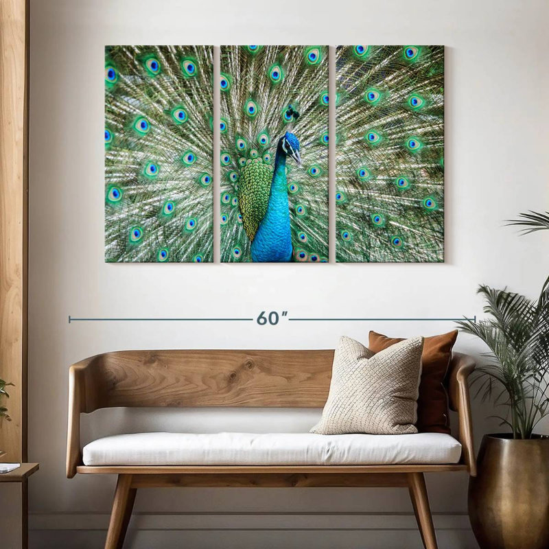 Brampt Peacock Displaying Tail, 32" H x 50" W