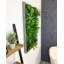 106cm Plant-1867390957