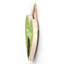 Gruia Wall Decor