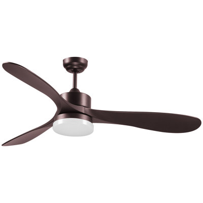 Ventilateur de plafond intérieur réversible avec lumière Alisan