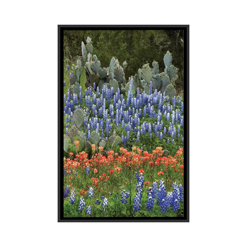 «Bluebonnet, Paintbrush Cactus, Texas and Prickly Pear», impression sur toile, H 26 po x l 18 po x P 1,5 po, Pas de tapis