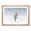 Winter Tree - Picture Frame Painting Print-56739350-56739352