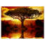 «Lonely Tree in African Sunset», impression-35062475-35062479