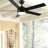Ceiling Fan with LED Lights