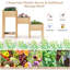Cambray Wood Elevated Planter