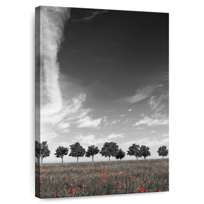 Alvord Poppy Alley