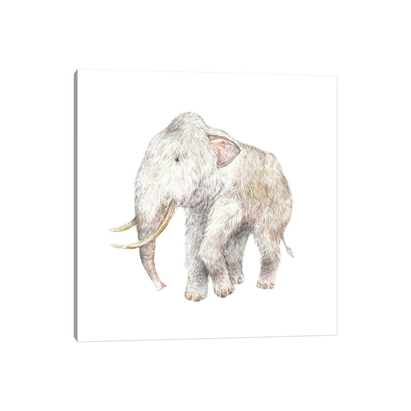 Woolly Mammoth by Wandering Laur - Wrapped Canvas Painting, 30.48 cm H x 30.48 cm W