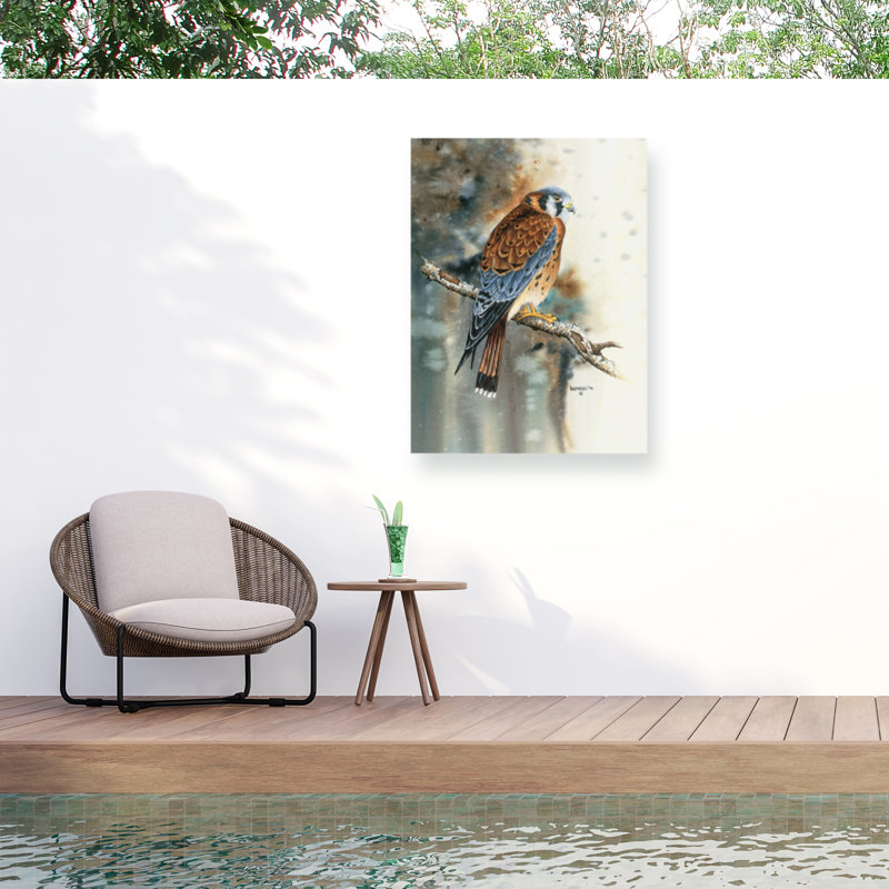Toile d'extérieur Dave Bartholet Kestrel, H 14 po x l 19 po