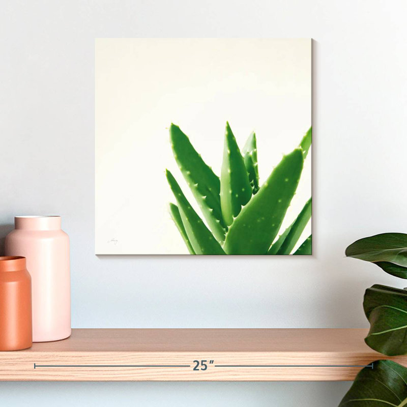 Harnek Succulent Simplicity Neutral I, H 16 po x l 16 po