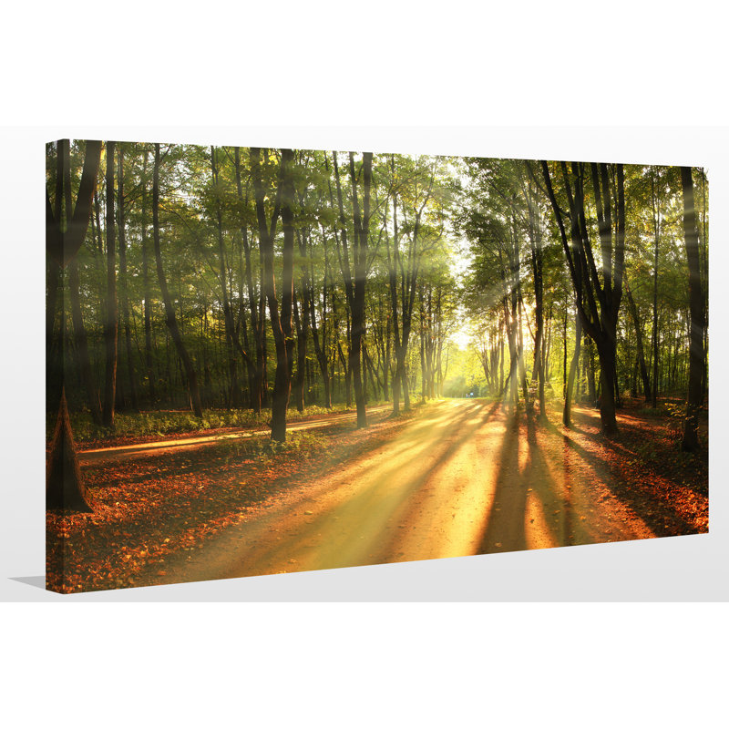 « automne landscap trees », reproduction de photo sur toile tendue, H 36 po x l 60 po x P 1,5 po