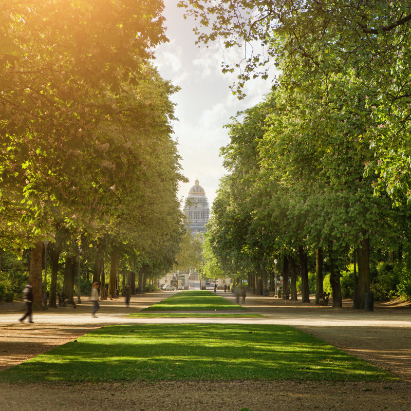 Royal Park, Brussels by ArtJazz - Wrapped Canvas Print, 30cm H x 30cm W x 3.8cm D