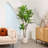 Adcock Artificial Dracaena Tree in Plastic Pot for Indoor/Outdoor Use-1187763798