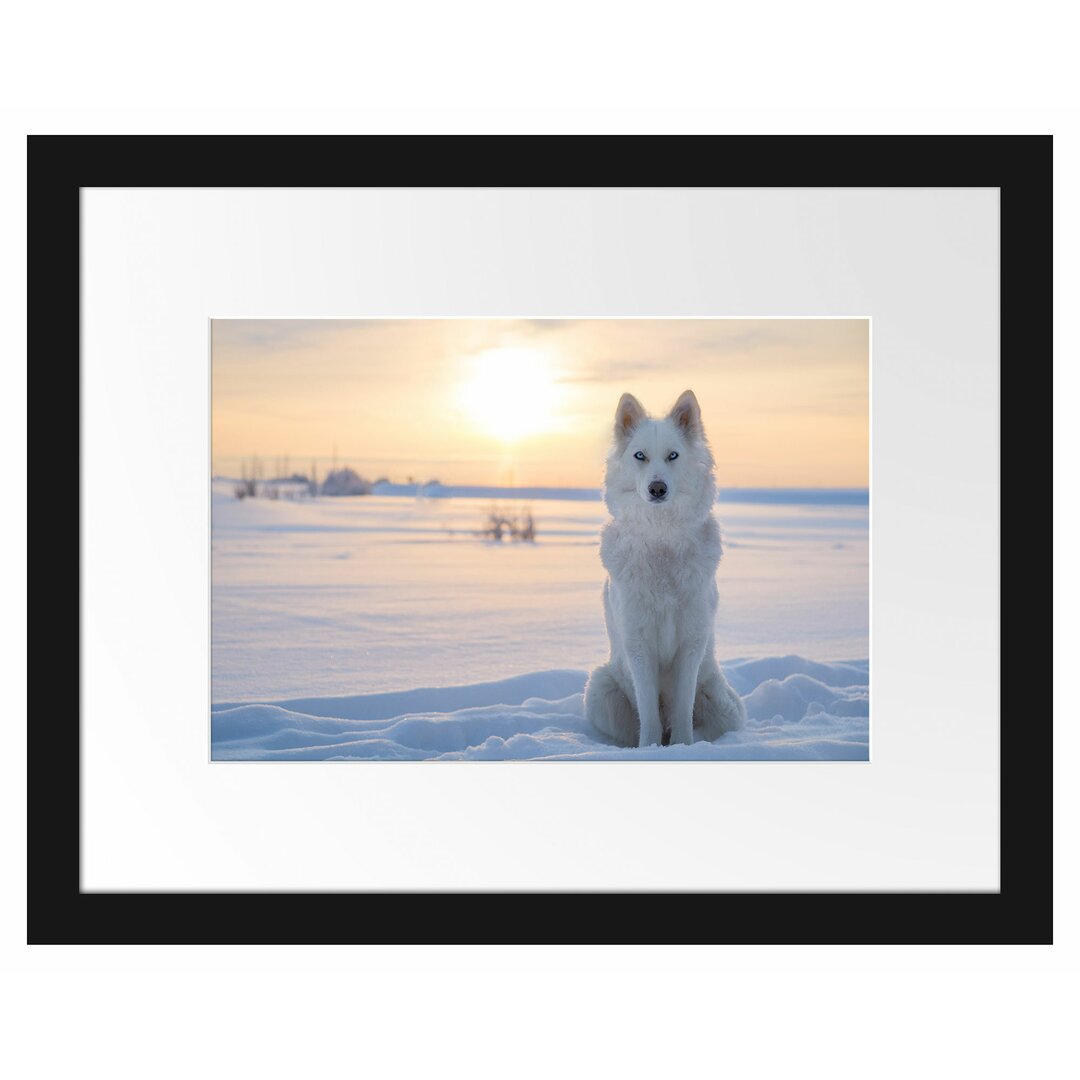 Gerahmtes Papierbild Wolf im Schnee