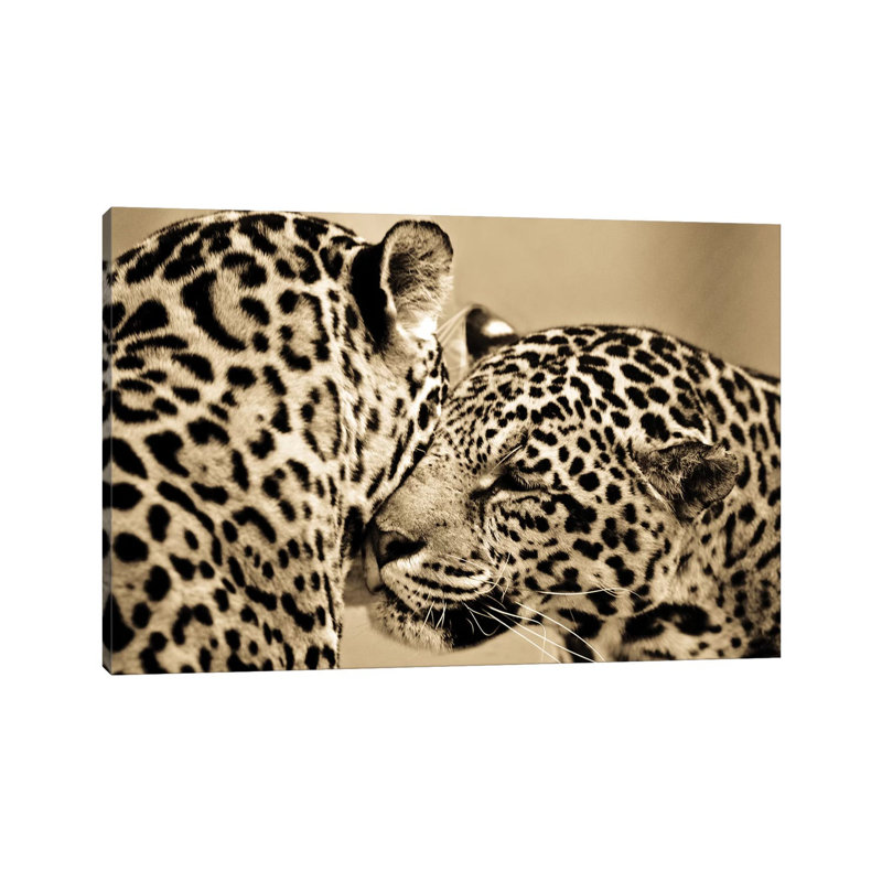 True Love by Goran Anastasovski - Wrapped Canvas Print, 66.04 cm H x 45.72 cm W x 1.91 cm D