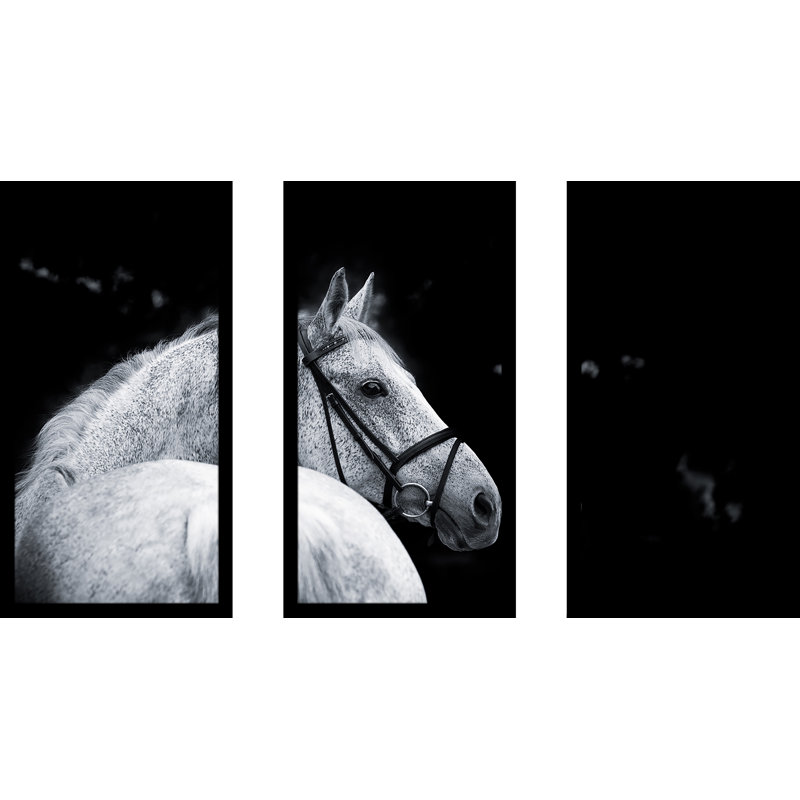 Reproduction de photo à multiples images encadrées de beauté bridled, H 33,5 po x l 52,5 po x P 1 po
