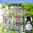 Black Polycarbonate Greenhouse - Heavy Duty, All Season Outdoor For Backyard Sliding Door, Adjustable Roof, Frame Walk-in With Robust Construction Galvanized Base-115808107