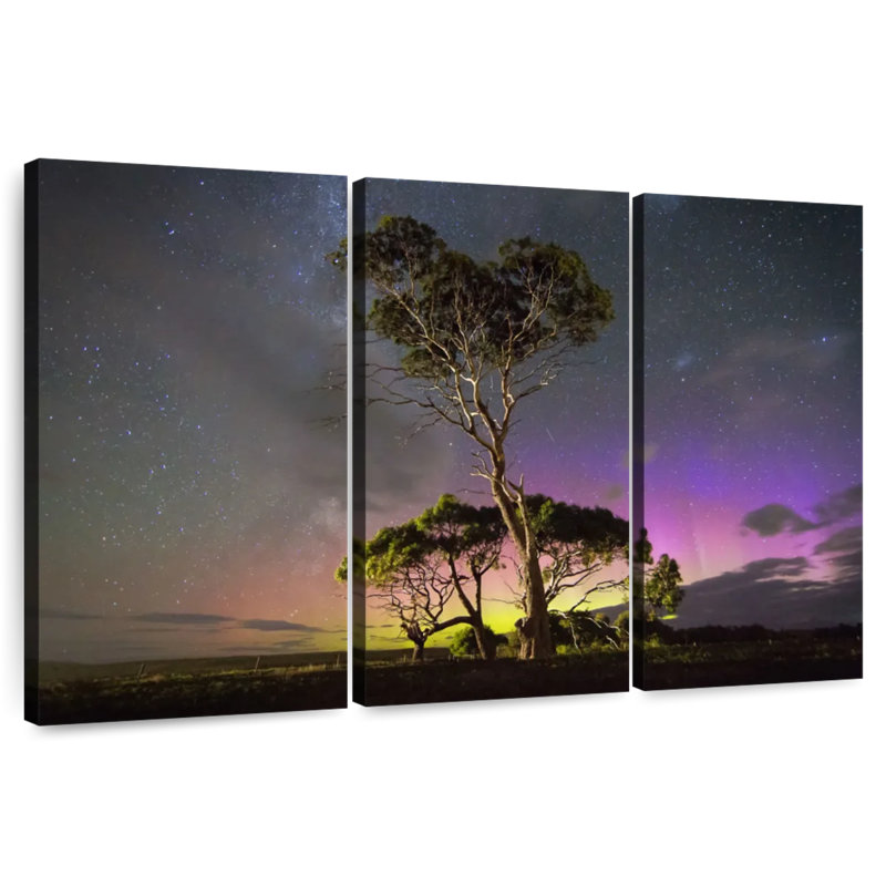 Harnek aurora australis au-dessus des arbres, H 32 po x l 50 po