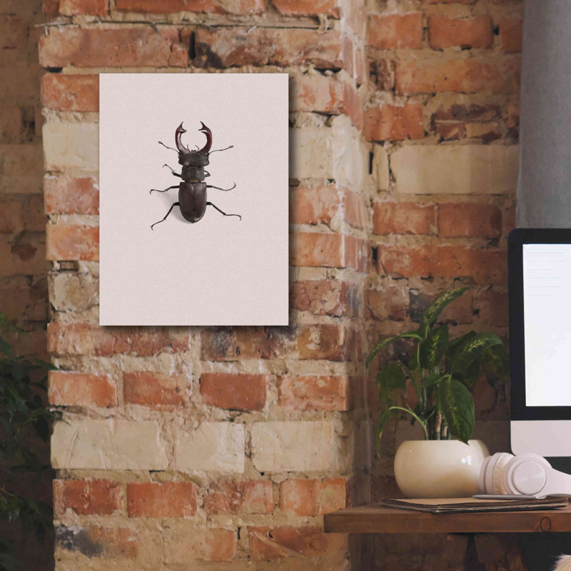 " Lucanus Cervus " by Incado, 16" H x 12" W x 0.75" D