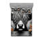 Microfiber Sheet Set-96237681