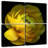 Harnek Ranunculus Close-Up-109143738