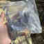 Customer photo 4 of 4