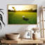 Coup de balle de golf-2065596358-2065596357