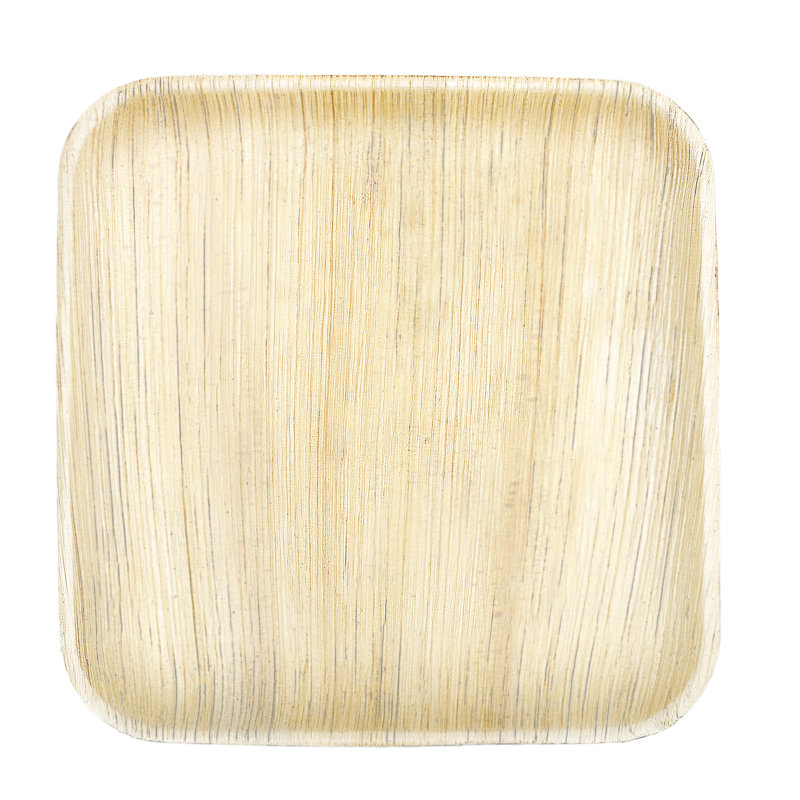 Assiettes jetables de 10 po - Compostables