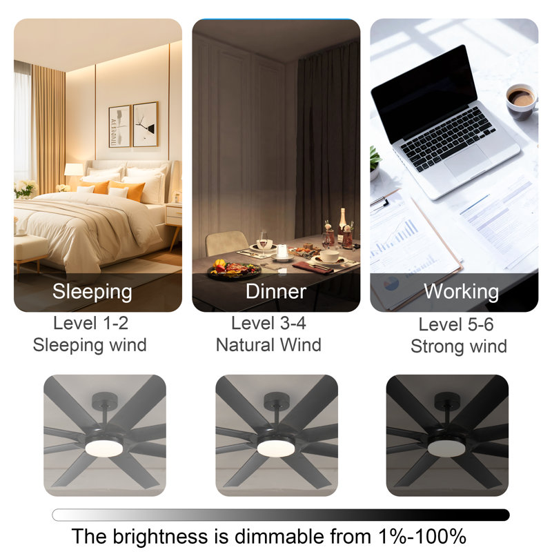 Ventilateur de plafond standard à 72 pales 72 pouces avec télécommande et ensemble d'éclairage pour salon