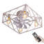 Ventilateur de plafond 18 po avec lumières et télécommande