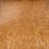 Chestnut Brown selected