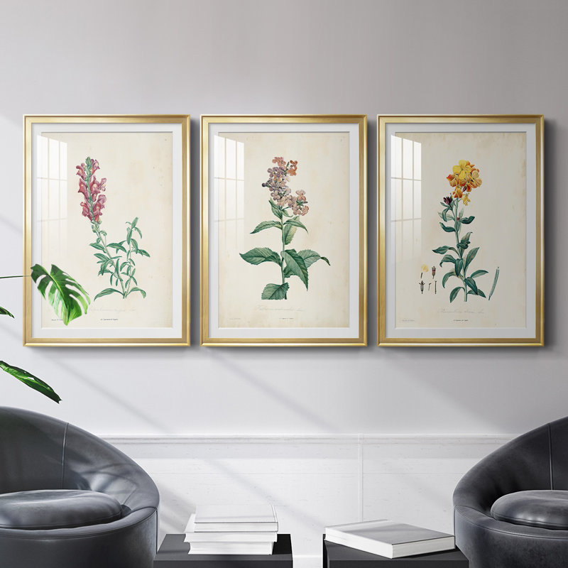 «Traditional Botanical I», reproduction encadrée de qualité supérieure, prête à être accrochée, Or