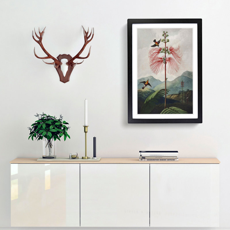 Flowering Plant and Birds by R.J. Thornton - Picture Frame Graphic Art Print, 36cm H x 27cm W x 2cm D, Black Framed
