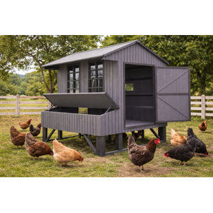 24 Square Feet Chicken Coop with Nesting Box For Up To 10 Chickens
