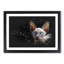 Blue Eyed Sphynx Cat - Single Picture Frame Painting on MDF-56855007-56855010