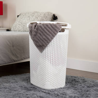 https://assets.wfcdn.com/im/62240174/resize-h380-w380%5Ecompr-r70/2431/243153476/Plastic+Laundry+Hamper.jpg