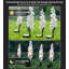 Fleurs blanches blanches de jardin en forme de fleurs blanches Delphinium imperméables-98143749