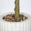 Faux arbre eucalyptus botanique en pot dans une jardinière en fibre de verre beige, hauteur de 69 pouces