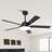 Vaczon 52" Dimmable Ceiling Fan with 3CCT LED Lights and Remote Control, 6 Speeds Reversible DC Motor, Timer, Double-Sided Wood Blades, 6''/10'' Downrods, for Indoor/Covered Outdoor Use-497709493