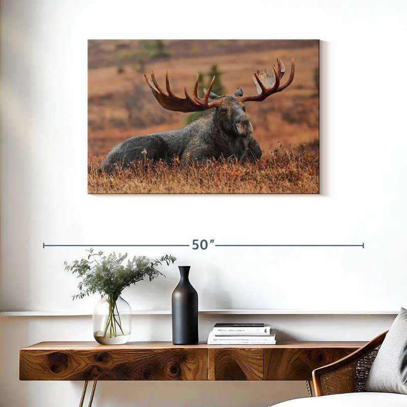 Brampt Summer Moose, 24" H x 36" W