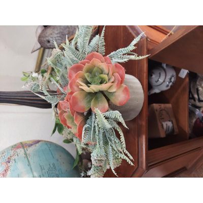 Arrangement de plantes grasses