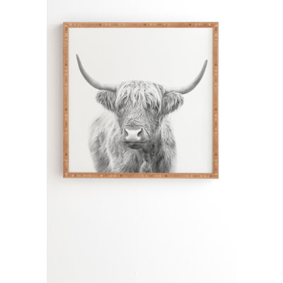 " Highland Bull "